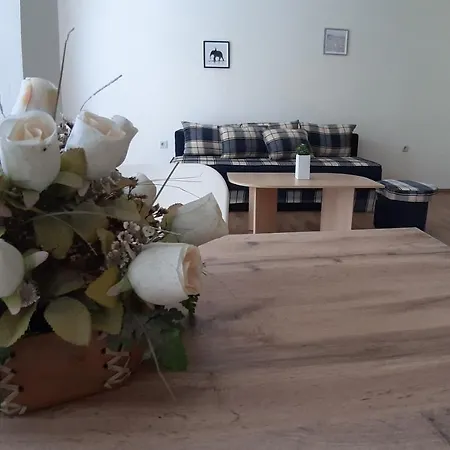 V Apartment