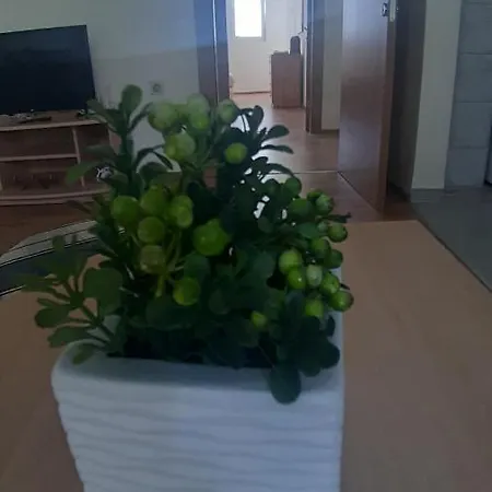V Apartment *